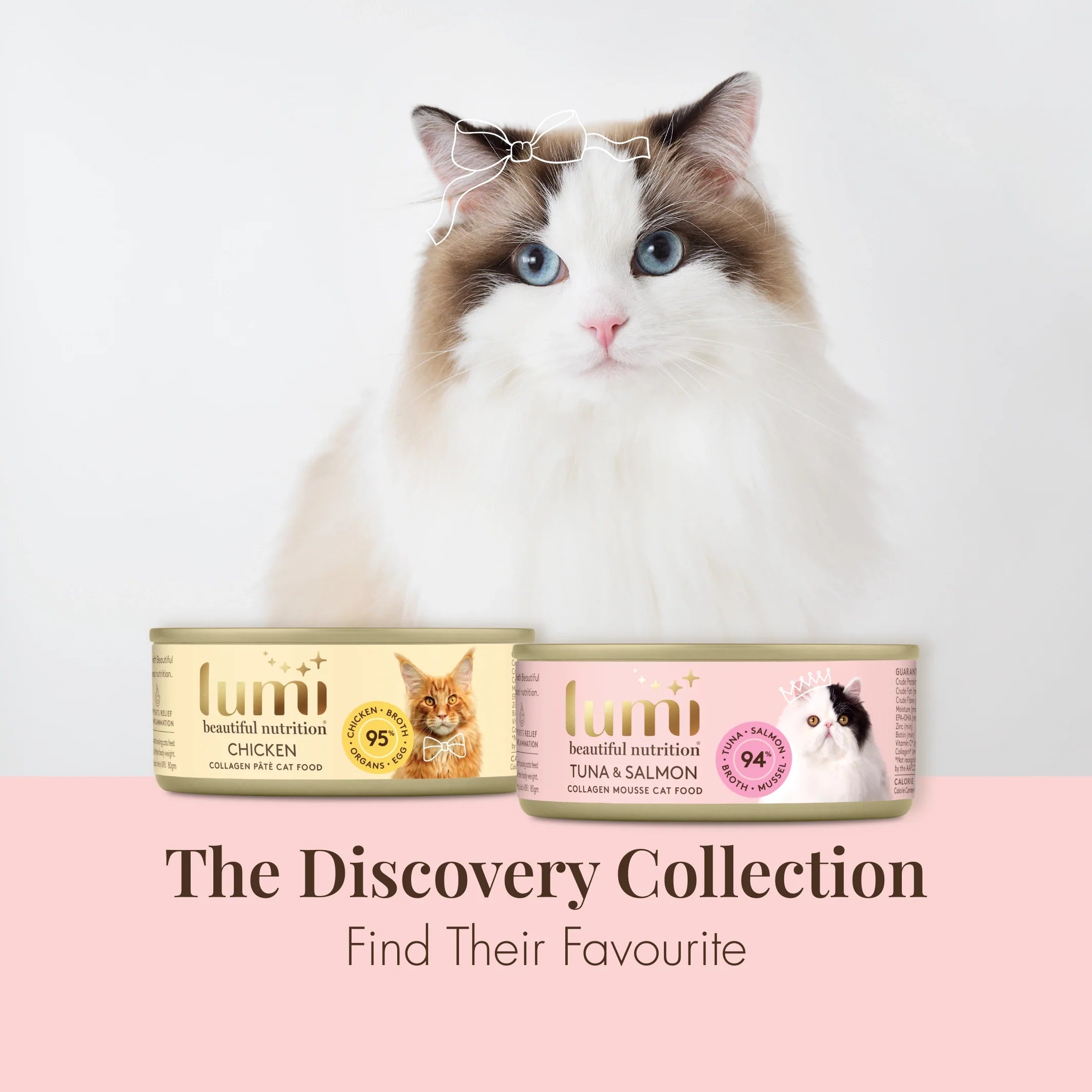 Cat lying down with two Lumi cat food cans in front of it, with text 'The Discovery Collection' and 'Find Their Favourite'.
