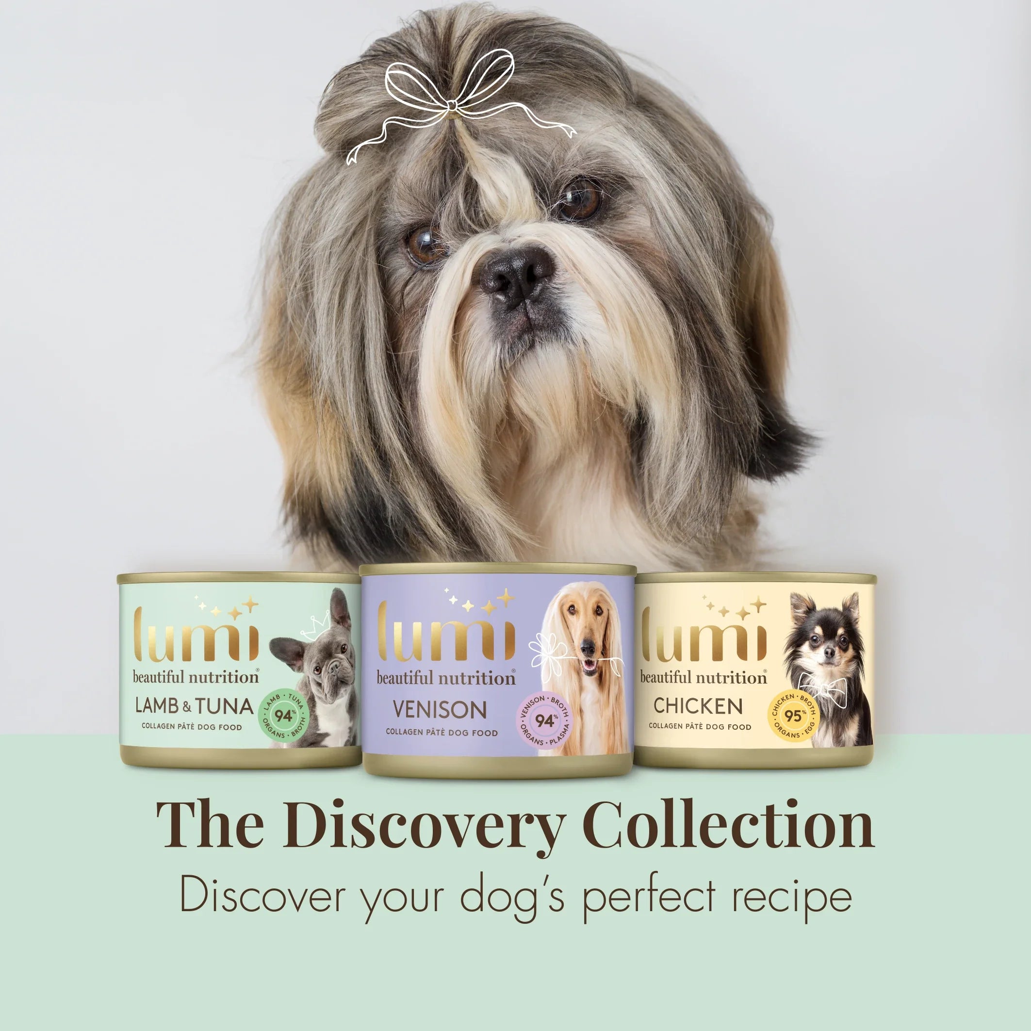 Dog Discovery Collection (6 cans)