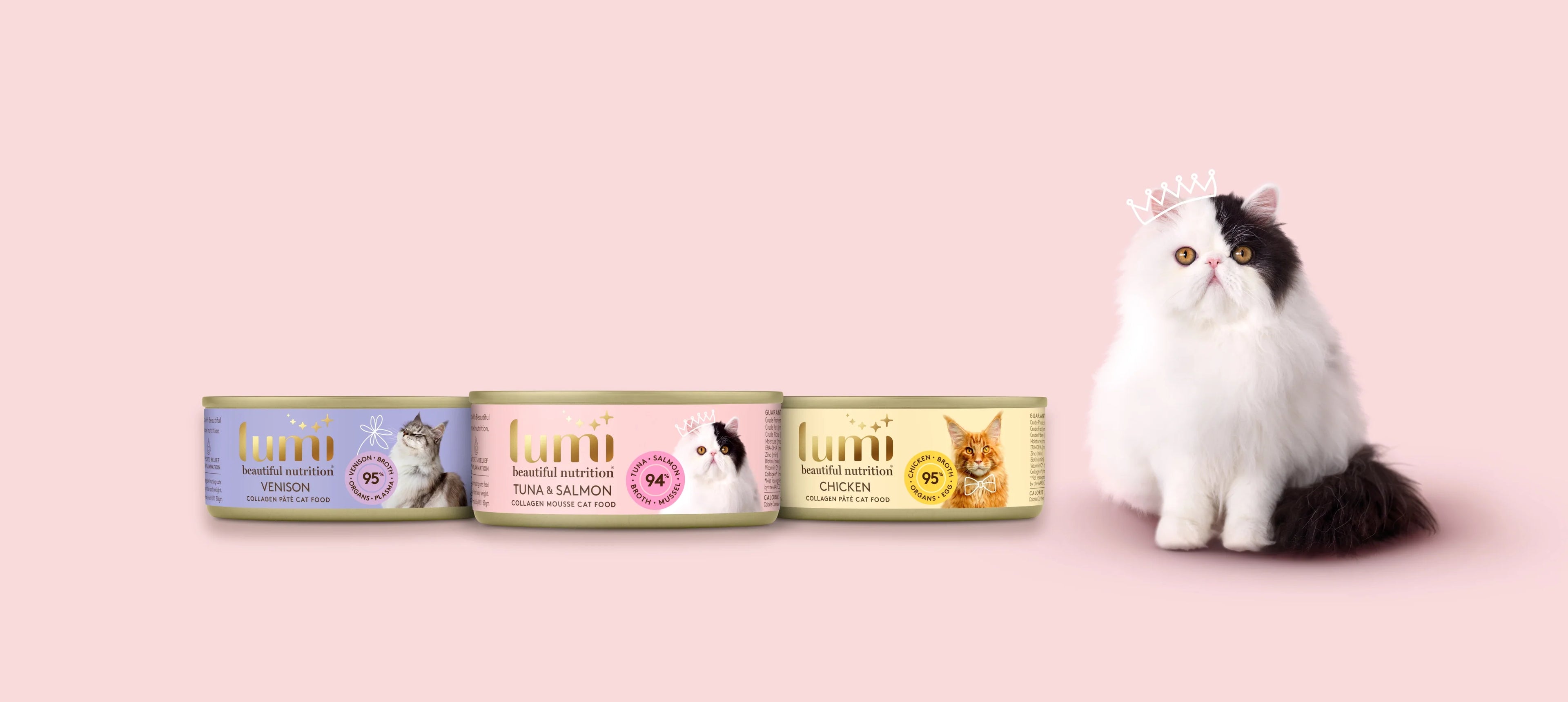 A beautifully groomed cat on a pale pink background, wearing a hand-drawn crown