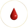 Plasma Protein