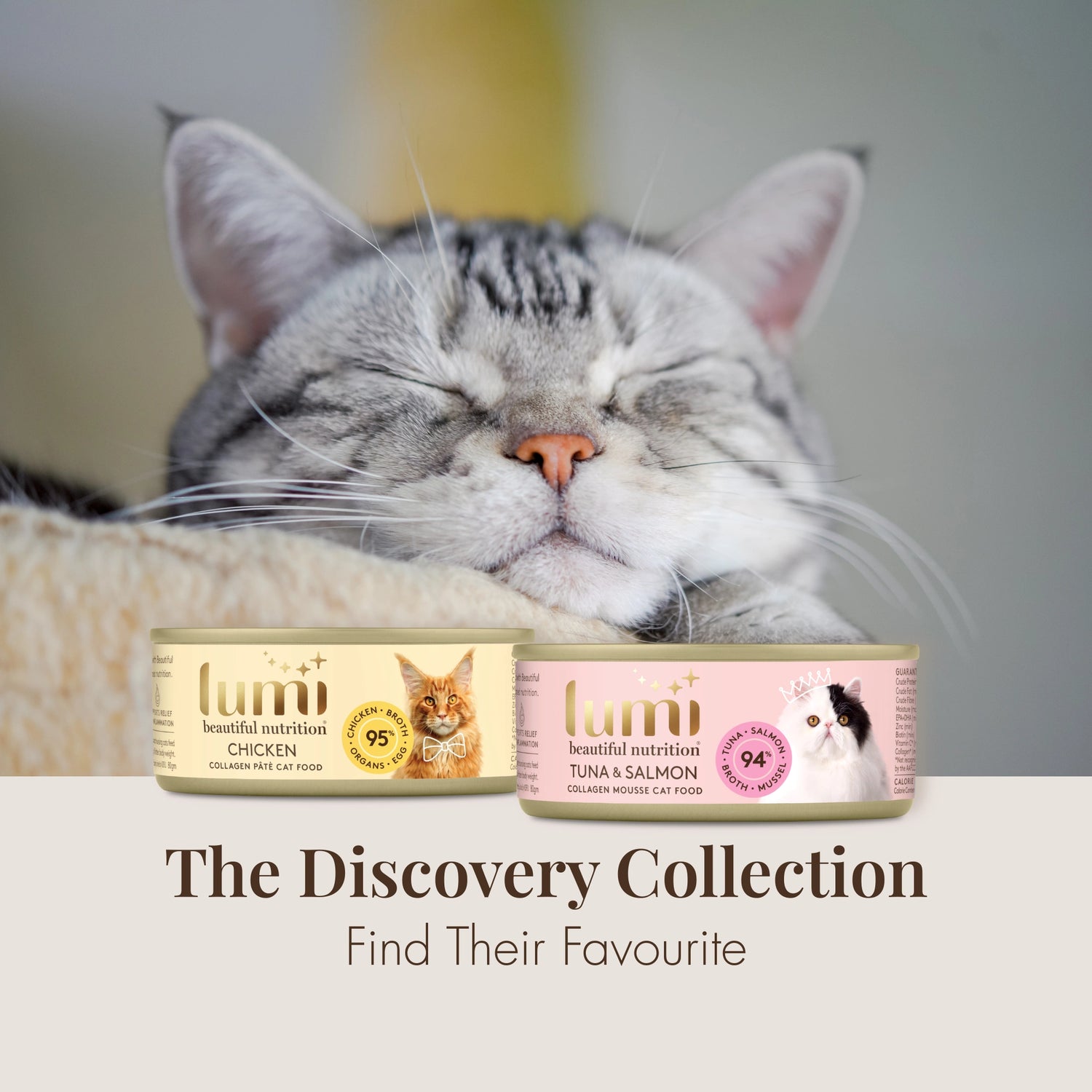 Cat lying down with two Lumi cat food cans in front of it, with text 'The Discovery Collection' and 'Find Their Favourite'.