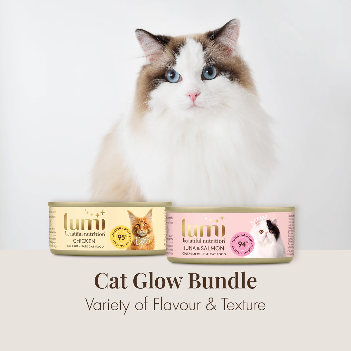Cat sitting next to Lumi cat food cans on a white background