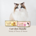 Cat sitting next to Lumi cat food cans on a white background