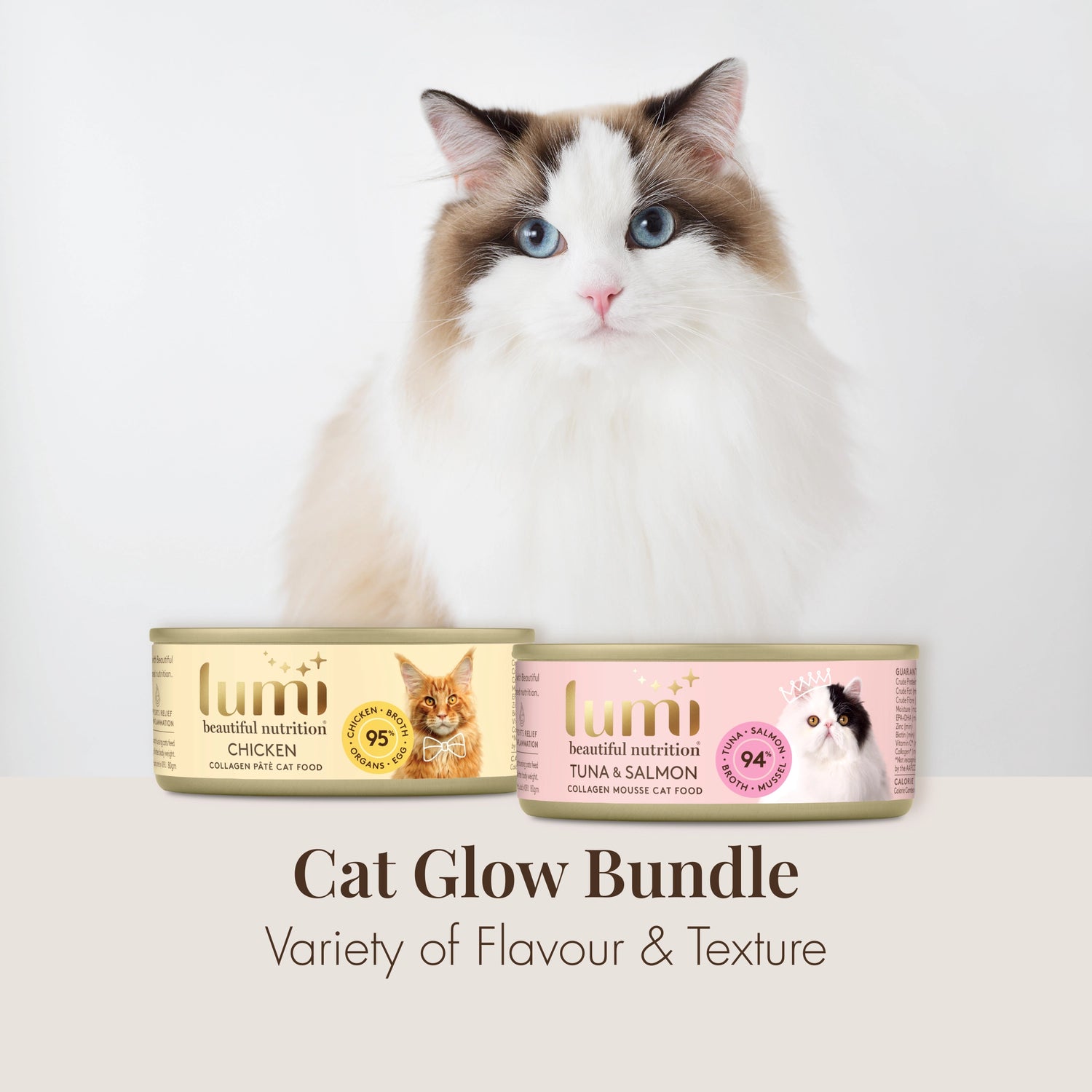 Cat sitting next to Lumi cat food cans on a white background
