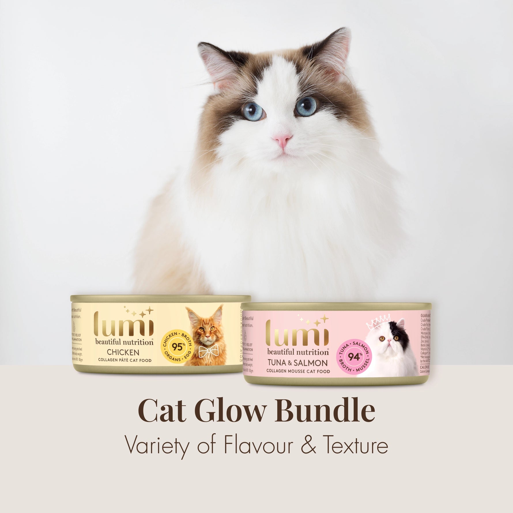 Cat sitting next to Lumi cat food cans on a white background