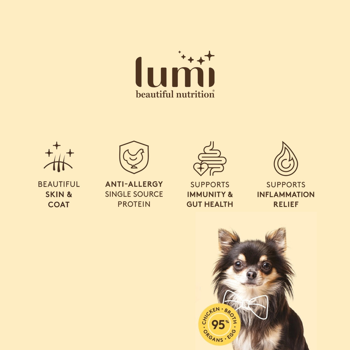 Lumi pet beauty brand Chicken Dog recipe with a beautiful dog on a yellow background.  Lumi supports beautiful skin & coat, this recipe contains anti-allergy single source chicken protein, supports immunity & gut health, and inflammation relief. 95% chicken, chicken organs, broth and egg white. Made in beautiful New Zealand.