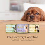Dog looking at three Lumi wet dog food cans on a wooden surface.