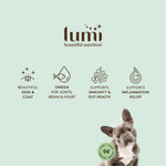 Lumi pet beauty brand Lamb & Tuna Dog recipe with a beautiful dog on a green background.  Lumi supports beautiful skin & coat, omega for joints, brain & heart, supports immunity & gut health, and inflammation relief. 94% New Zealand lamb, tuna, organs and broth.  Made in beautiful New Zealand.
