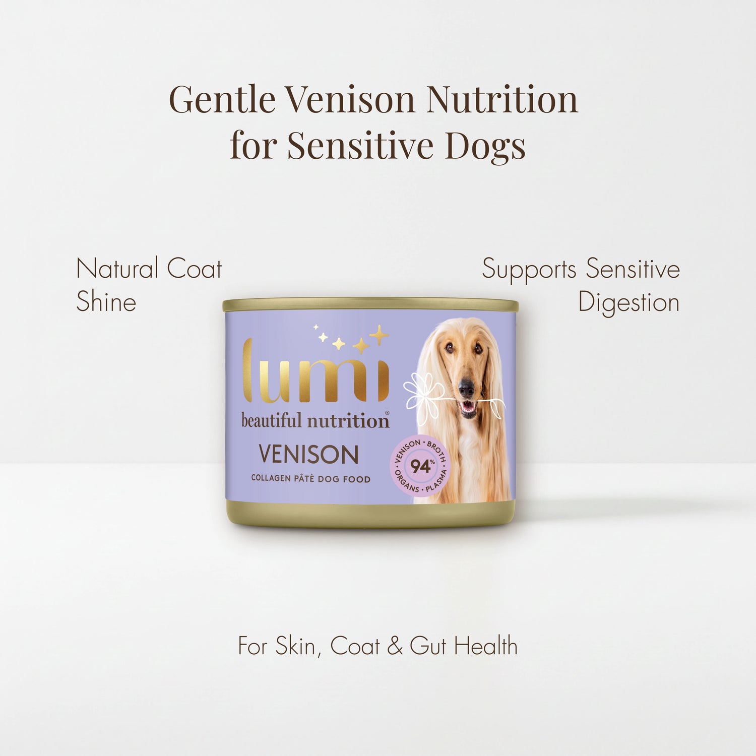 Lumi Venison dog food can on a white background with text about gentle venison nutrition for sensitive dogs.  This recipe supports natural coat shine, sensitive digestion and skin, coat & gut health.