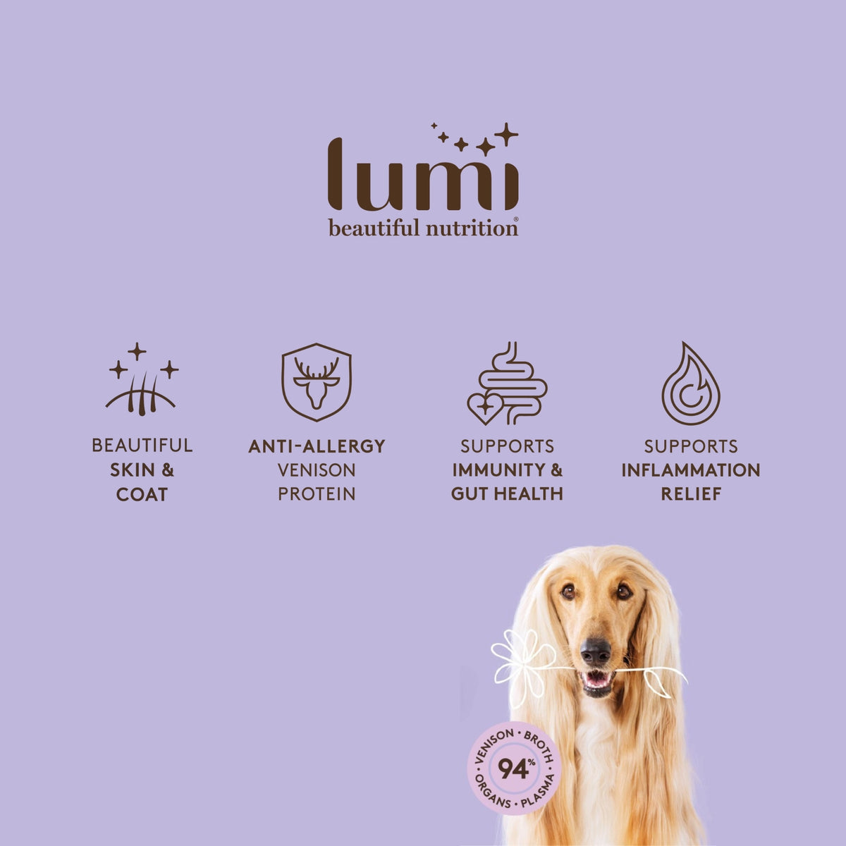 Lumi pet beauty brand Venison Dog recipe with a beautiful dog on a purple background.  Lumi supports beautiful skin & coat, this recipe contains anti-allergy Venison protein, supports immunity & gut health, and inflammation relief. 94% venison, venison organs, broth and plasma. Made in beautiful New Zealand.